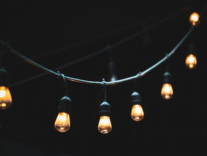 art_bright_bulbs_1146562