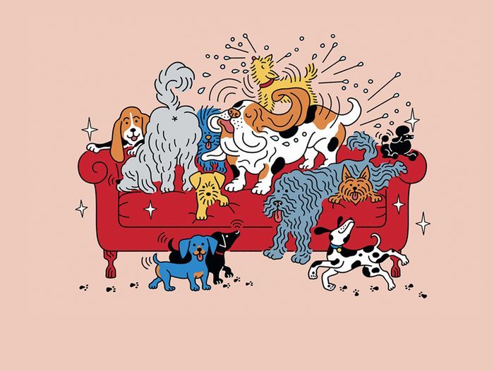 A picture of several dogs drawn in a cartoon style sitting on and around a red couch.