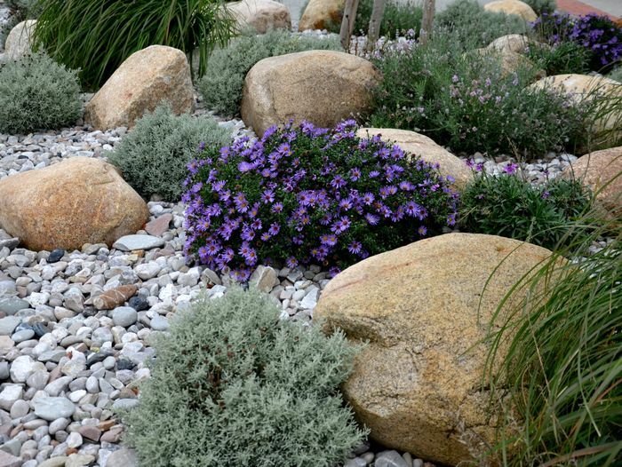 Rock garden created using a variety of landscaping rocks and plants.